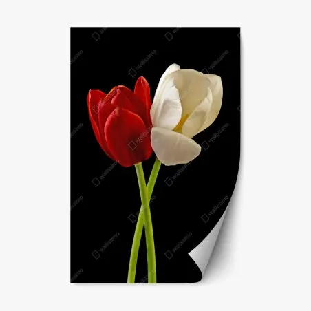 Sticker repositionnable tulipes croisées en contraste rouge et blanc – Wallnifity®