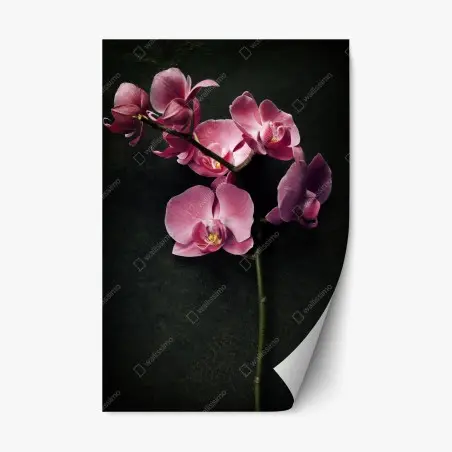 Sticker repositionnable orchidée rose sur fond vintage – Wallnifity®