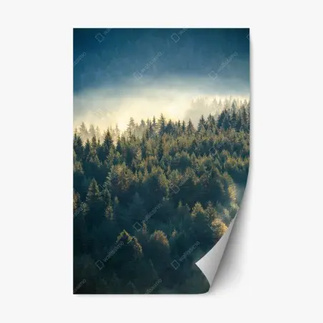 Sticker repositionnable brume matinale sur la pinède montagneuse – Wallnifity®