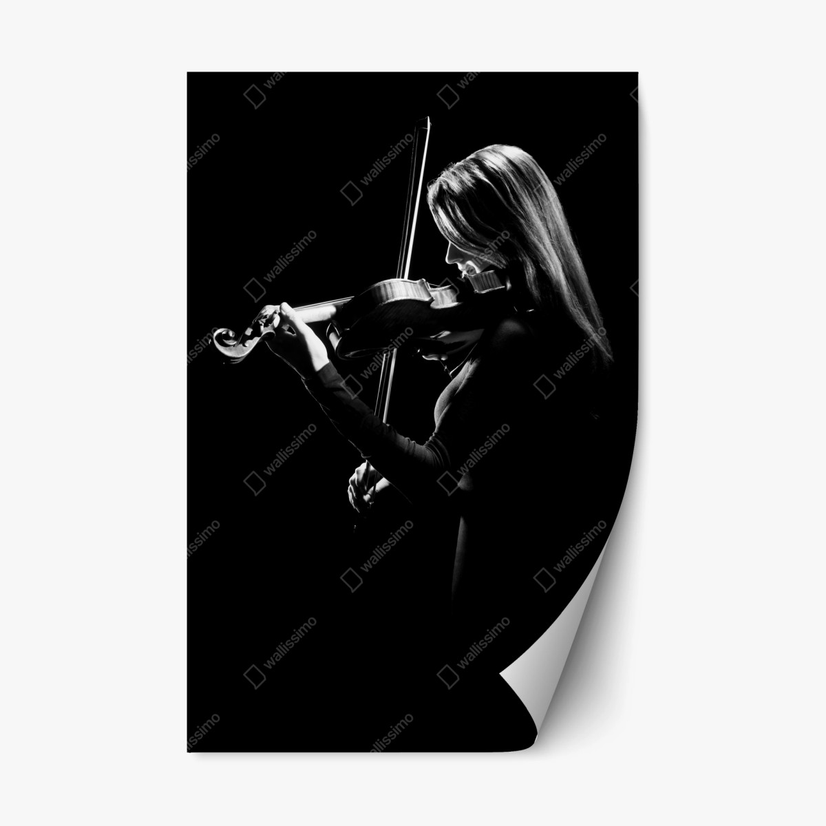 Sticker repositionnable violoniste en contre-jour – Wallnifity®