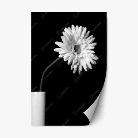 Sticker repositionnable élégance florale minimaliste en noir et blanc – Wallnifity®
