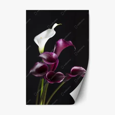 Sticker repositionnable composition d'arums blancs et bordeaux sur fond noir – Wallnifity®