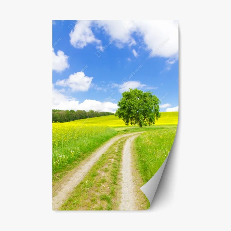 Sticker repositionnable chemin bucolique vers l'arbre solitaire – Wallnifity®