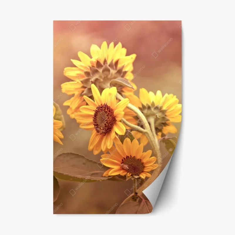 Stickers repositionnables – Wallnifity®