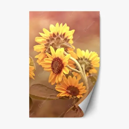 Sticker repositionnable tournesols vintage ensoleillés – Wallnifity®