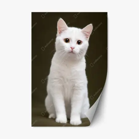 Sticker repositionnable portrait élégant de chat blanc aux yeux dorés – Wallnifity®
