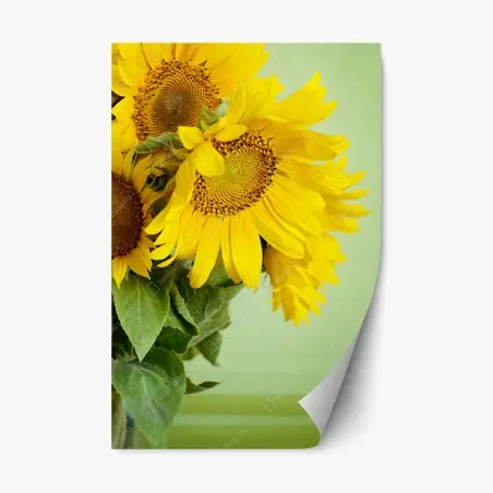 Sticker repositionnable bouquet de tournesols éclatants sur fond vert – Wallnifity®