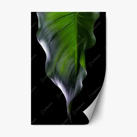 Sticker repositionnable feuille verte élégante sur fond noir – Wallnifity®