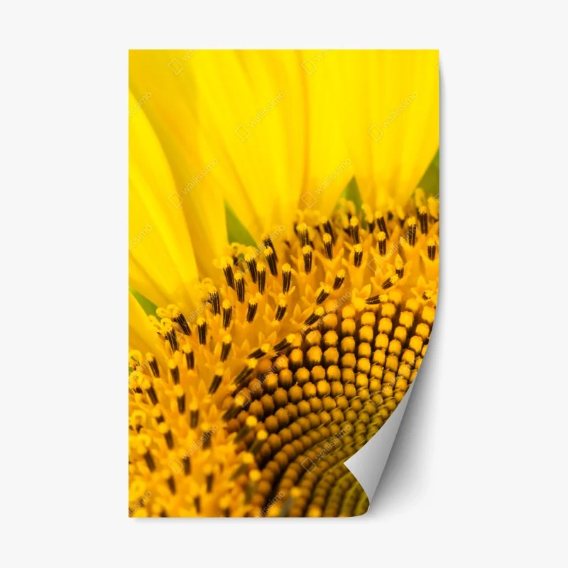 Stickers repositionnables – Wallnifity®