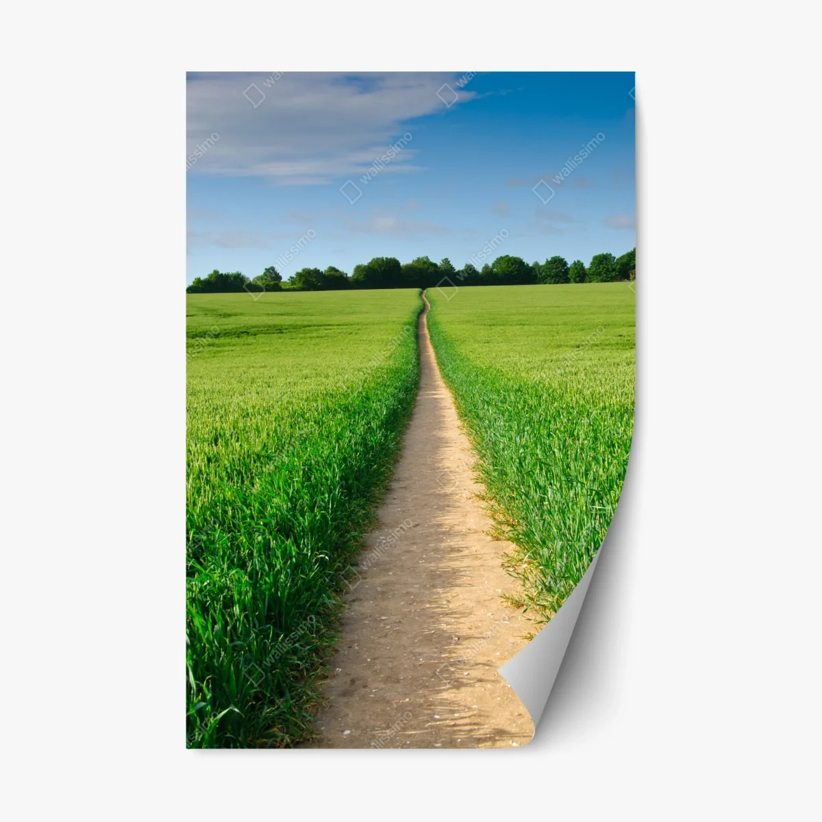 Sticker repositionnable chemin vers l'horizon dans un champ verdoyant – Wallnifity® Sticker repositionnable chemin vers l'horizon dans un champ verdoyant – Wallnifity®