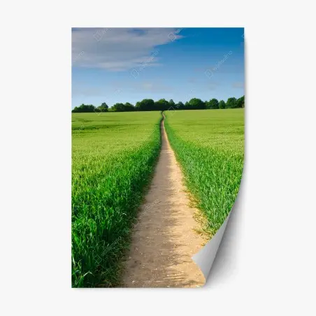 Sticker repositionnable chemin vers l'horizon dans un champ verdoyant – Wallnifity®