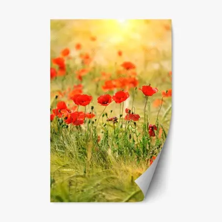 Sticker repositionnable champ de coquelicots au soleil doré – Wallnifity®