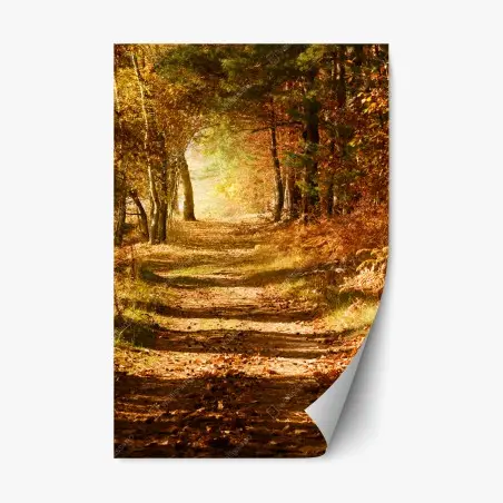 Sticker repositionnable chemin doré en forêt automnale – Wallnifity®