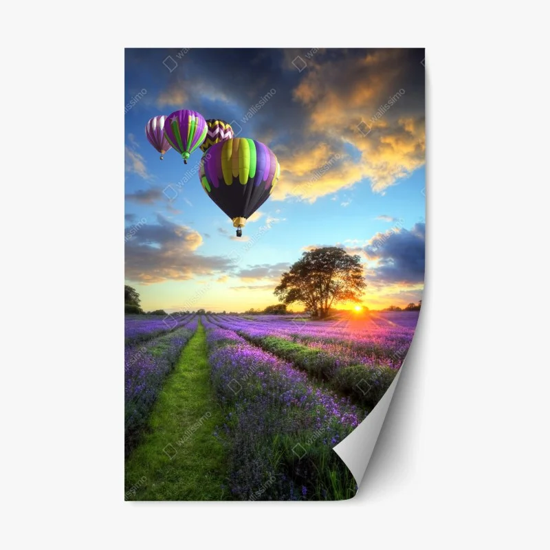 Nature – Wallnifity®