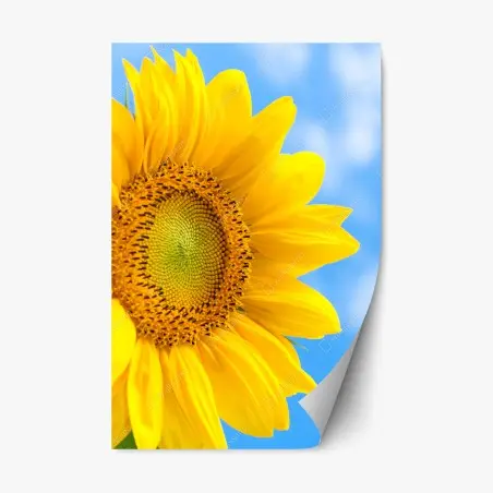 Sticker repositionnable éclat de tournesol sur ciel bleu – Wallnifity®