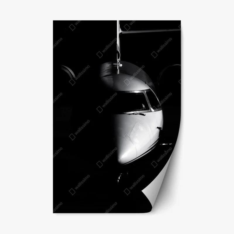 Avions – Wallnifity®