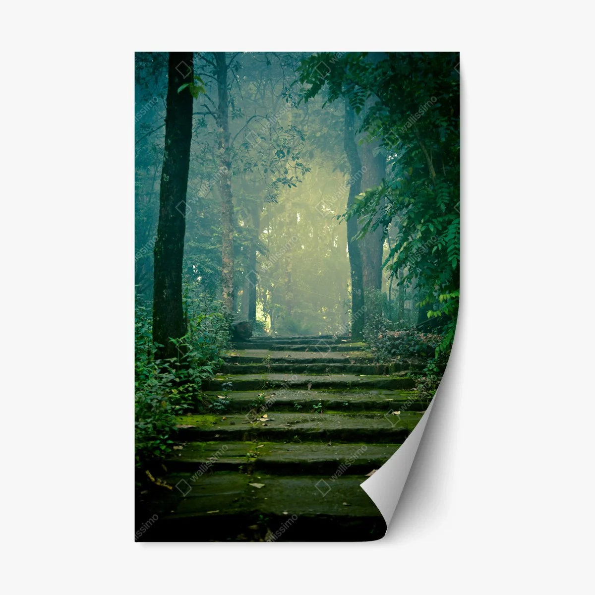 Sticker repositionnable escalier de pierre dans la forêt brumeuse – Wallnifity® Sticker repositionnable escalier de pierre dans la forêt brumeuse – Wallnifity®