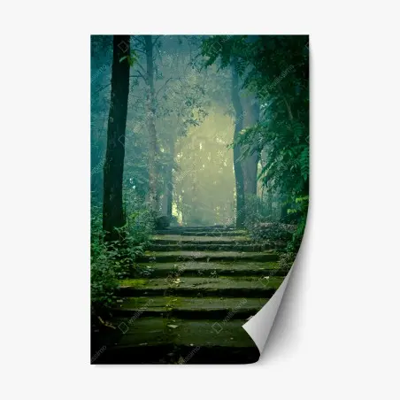 Sticker repositionnable escalier de pierre dans la forêt brumeuse – Wallnifity®