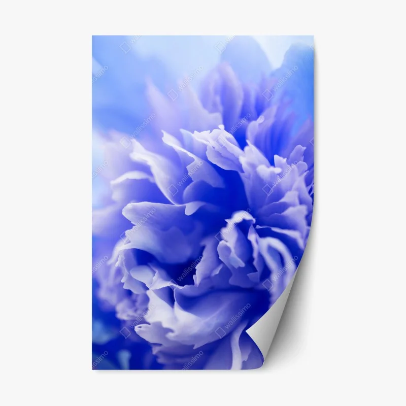 Fleurs et plantes – Wallnifity®