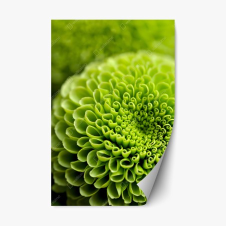 Sticker repositionnable spirale florale verte en gros plan – Wallnifity®