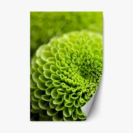 Sticker repositionnable spirale florale verte en gros plan – Wallnifity®