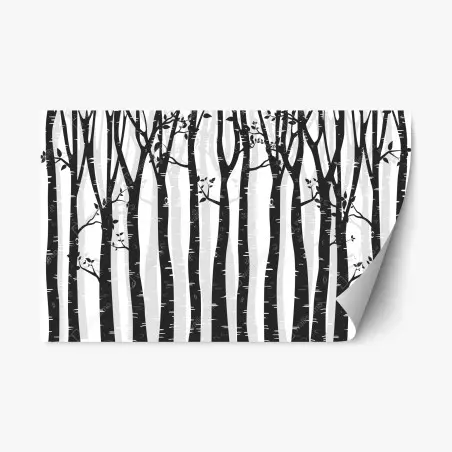 Sticker repositionnable forêt de bouleaux minimaliste en noir et blanc – Wallnifity®