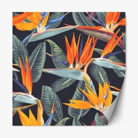 Sticker repositionnable motif tropical oiseau de paradis sur fond sombre – Wallnifity®