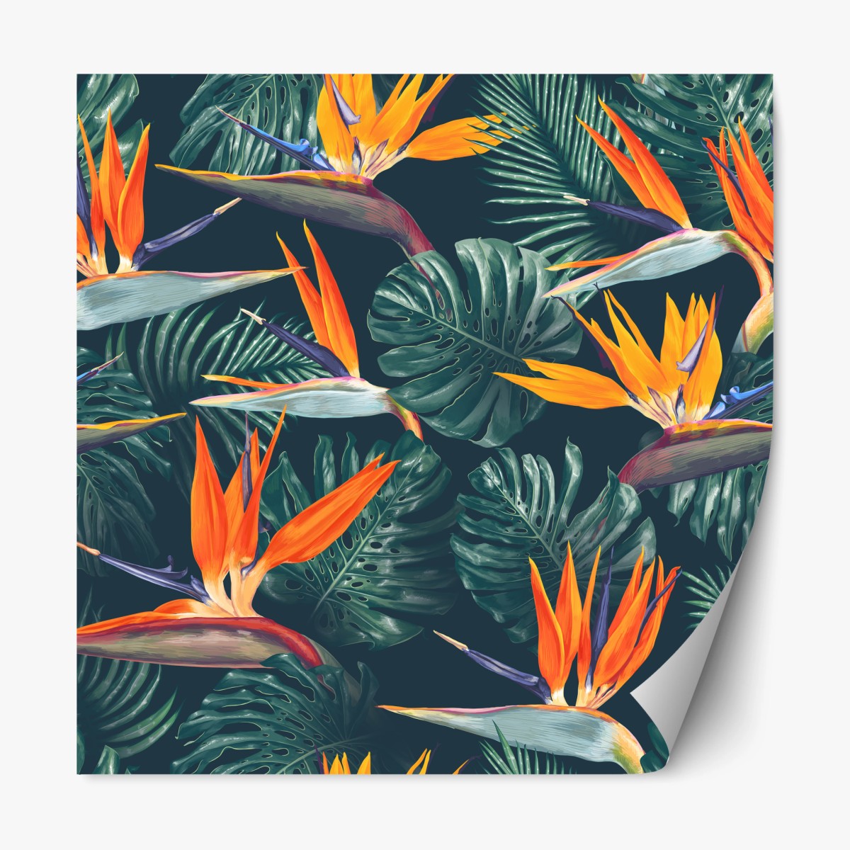 Sticker repositionnable motif tropical d'oiseaux-de-paradis et feuilles monstera – Wallnifity®