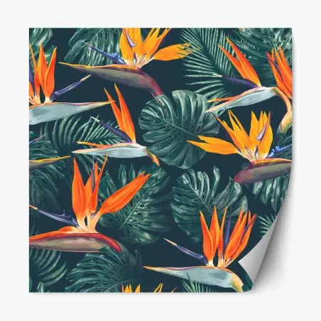 Sticker repositionnable motif tropical d'oiseaux-de-paradis et feuilles monstera – Wallnifity®