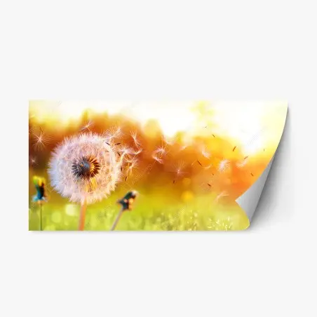 Sticker repositionnable pissenlit au vent au coucher de soleil doré – Wallnifity®