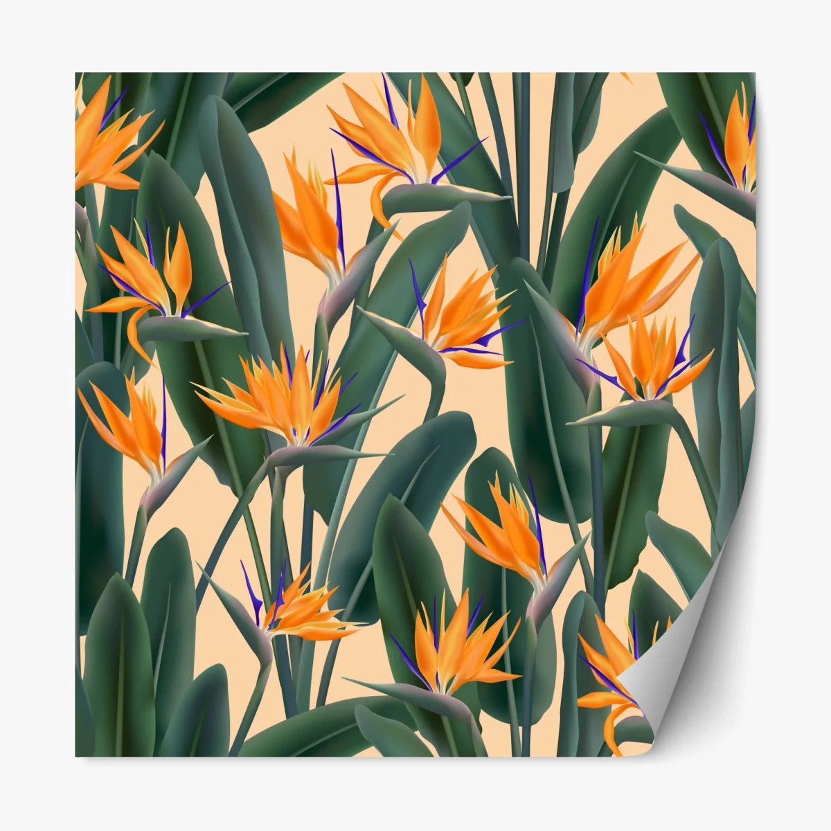 Sticker repositionnable motif tropical bohème fleur de paradis – Wallnifity® Sticker repositionnable motif tropical bohème fleur de paradis – Wallnifity®