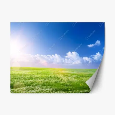 Sticker repositionnable horizon printanier sous ciel bleu – Wallnifity®
