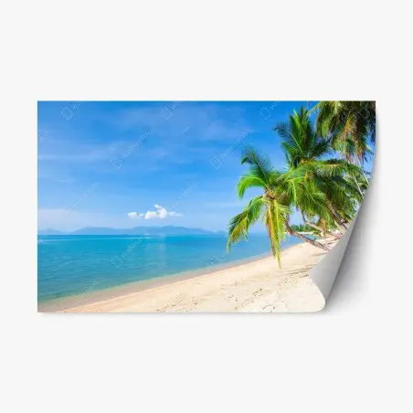 Sticker repositionnable plage tropicale paisible avec palmiers – Wallnifity®