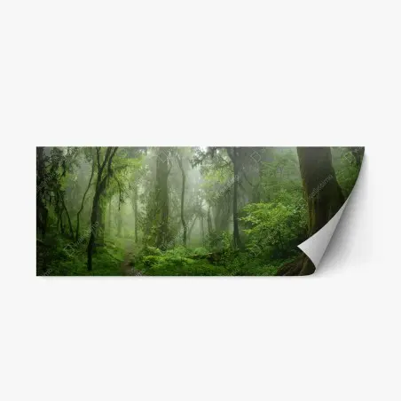 Sticker repositionnable brume verte dans la forêt tropicale d'Asie du Sud-Est – Wallnifity®