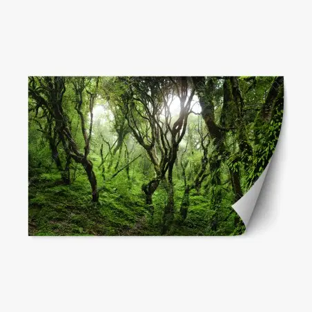 Sticker repositionnable forêt mystique recouverte de mousse – Wallnifity®