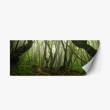 Sticker repositionnable forêt brumeuse enchantée – Wallnifity®