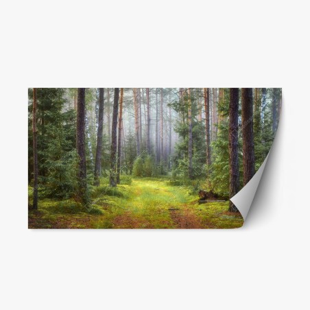 Sticker repositionnable sentier lumineux dans la forêt brumeuse – Wallnifity®