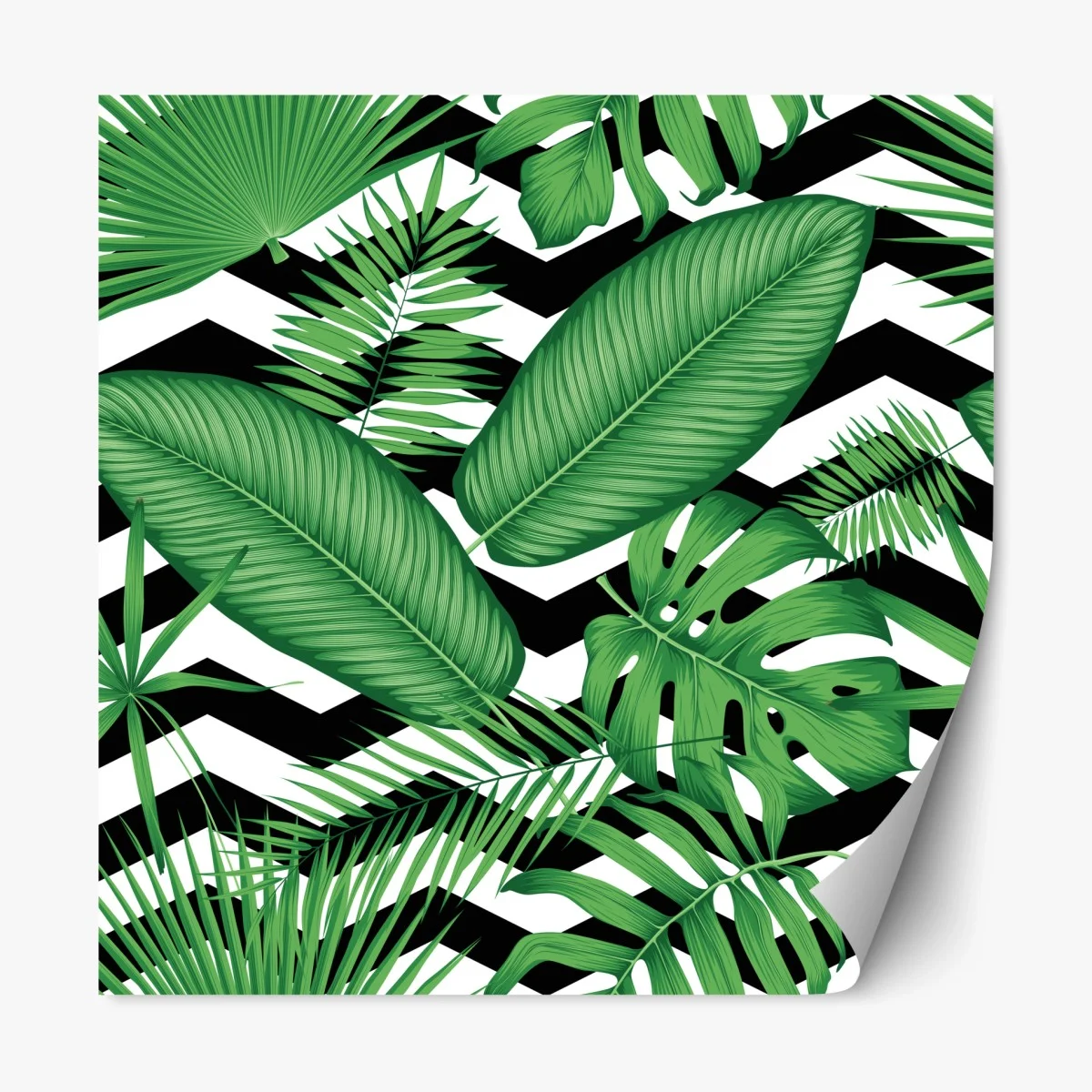 Sticker repositionnable motif tropical graphique noir et blanc – Wallnifity® Sticker repositionnable motif tropical graphique noir et blanc – Wallnifity®