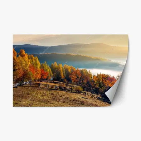 Sticker repositionnable brume matinale sur le verger montagneux – Wallnifity®