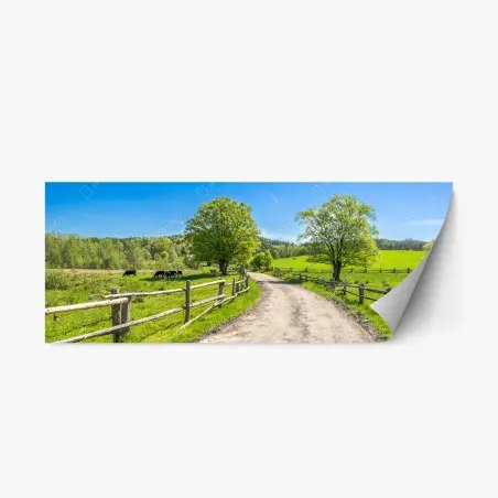 Sticker repositionnable chemin de campagne verdoyant sous un ciel bleu – Wallnifity®