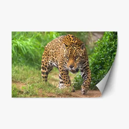 Sticker repositionnable jaguar en approche – Wallnifity®