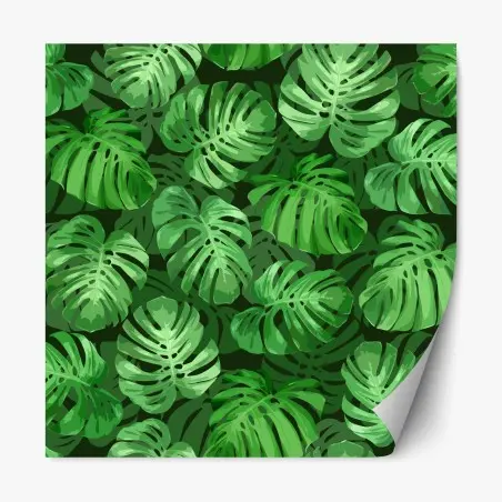 Sticker repositionnable motif tropical de feuilles de monstera – Wallnifity®