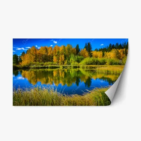 Sticker repositionnable reflet d'automne sur l'étang – Wallnifity®