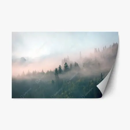 Sticker repositionnable brume matinale en forêt – Wallnifity®