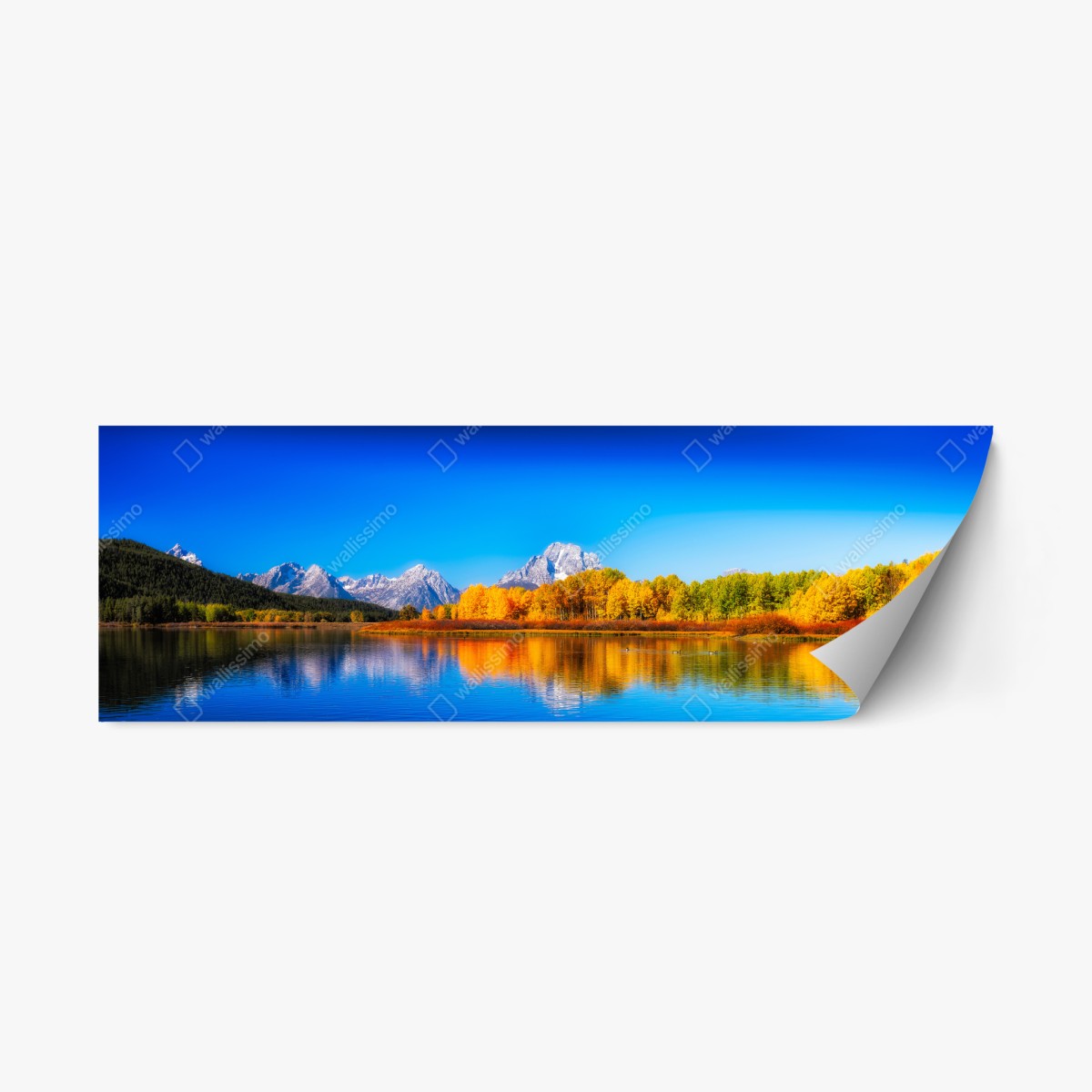 Sticker repositionnable reflets d'automne sur le lac – Wallnifity®