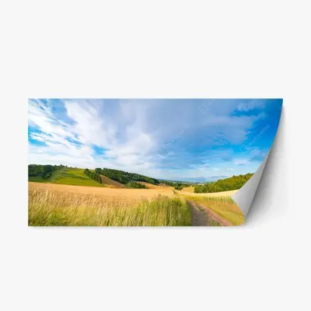 Sticker repositionnable matin doré au Kansas : paysage de blé panoramique – Wallnifity®