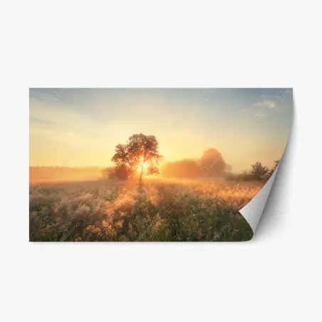 Sticker repositionnable aube dorée sur la prairie – Wallnifity®