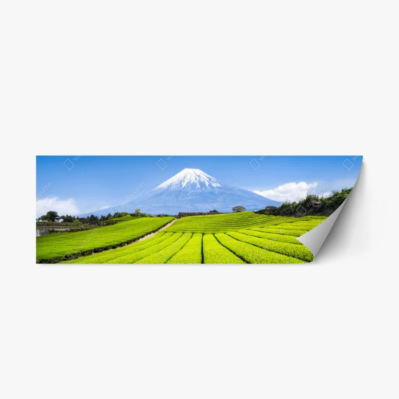 Nature – Wallnifity®