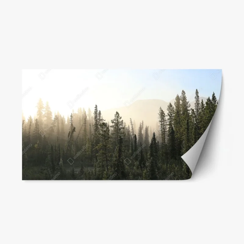 Nature – Wallnifity®