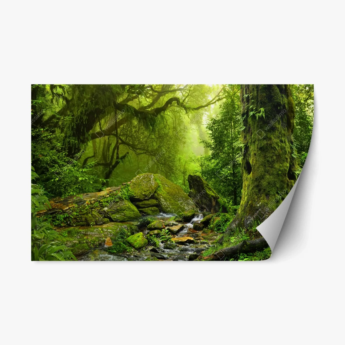 Sticker repositionnable clairière verte enchantée – Wallnifity® Sticker repositionnable clairière verte enchantée – Wallnifity®